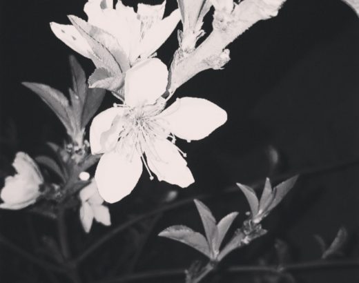 Fotografía por Lorena Salazar