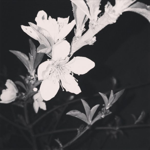 Fotografía por Lorena Salazar
